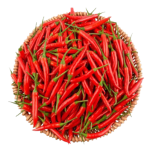 小米辣 新鲜小米椒 净重240g 实惠尝鲜