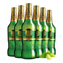 奥古特 啤酒 原麦汁浓度12°P 480mL 6瓶整箱装 2箱共12瓶