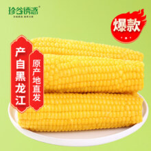 珍谷诱惑 黄糯玉米 10支 2.4kg 真空锁鲜 原产地直发