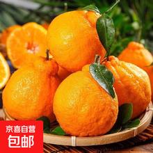 正宗四川眉山春见耙耙柑 丑橘 中果 3斤 带箱70-80mm