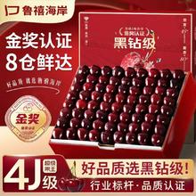 鲁禧海岸 山东大樱桃 现摘现发 多地次日达 爽吃礼盒 3斤(净重)