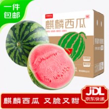 夏日将至，西瓜开吃！京鲜生 无籽麒麟瓜西瓜 1粒装 单果净重5-7斤