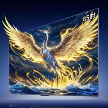 FFALCON 雷鸟 鹤6 Ultra 85英寸电视 85S595C Ultra 固定挂架送装一体