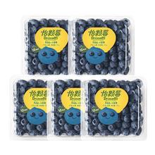 怡颗莓 云南蓝莓宝宝小果新产季新鲜采摘水果辅食单果12mm+ 125g6盒共计725g