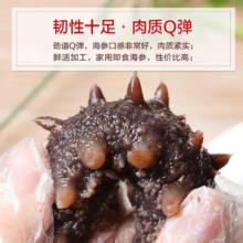 限移动端、京东百亿补贴：海赋 大连辽刺参 即食海参1斤9-12只 *4