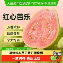限移动端：胡鲜森 精选软糯红心芭乐 2个装