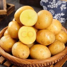 播州鲜 高山黄皮土豆 农家自种 黄心土豆 2斤净重