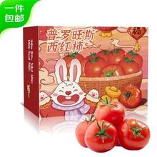 古寨山 山东普罗旺斯口感番茄净重单果90g+沙瓤西红柿源头直发 2.25斤拍2发4.5斤净重