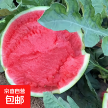 冰糖麒麟西瓜 薄皮脆甜 7-8斤 2-3人份