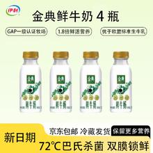 伊利 金典鲜牛奶 235ml*4瓶 全脂 巴氏杀菌