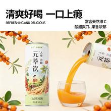 元萃饮人参沙棘原浆果汁240ml*2瓶