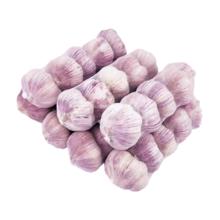 山东大蒜 新干蒜 4.5cm 精品大蒜头 3头