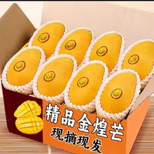 果迎鲜 芒果 广西金煌芒 净重4.5斤装（单果300g+）