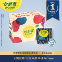 8号0点：怡颗莓Driscoll's 云南蓝莓14mm+ 12盒装 约125g/盒