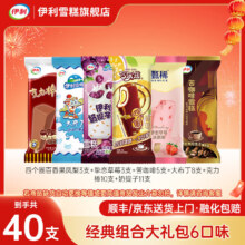 伊利 甄稀巧乐兹苦咖啡四个圈奶提子雪糕大布丁 40支 2500克