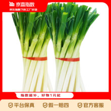 农家自种大葱 白杆葱 去皮去半叶 净葱含箱5斤