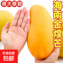 金煌芒 广西当季大青皮芒果 5斤装 净重4.5斤 单果250g+ 特级果