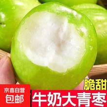 广西青枣牛奶枣 中果带箱5斤 净重4.5斤 约30-35个果