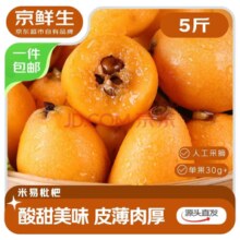 早熟枇杷尝个新鲜！京鲜生 四川米易枇杷 5斤装