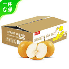 京鲜生 山东南水梨 净重3斤 单果250g+ 生鲜水果 自营高品质！