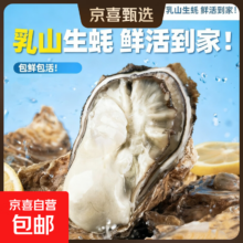 乳山生蚝礼盒装鲜活牡蛎 10斤装 保温箱 1两内/只