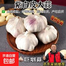 京喜 紫白皮蒜水果大蒜超市即食生鲜蔬菜大蒜 净重0.8斤