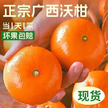 广西武鸣沃柑新鲜花皮果甜橘子带箱9斤单果70mm+