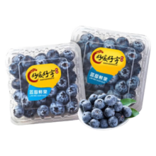 好媛好宇 云南蓝莓 花香蓝莓 A+精选 8盒12mm+ 2斤净重800g
