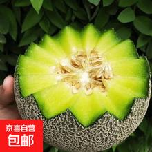 海南 玫珑网纹瓜 新鲜哈密瓜 冰淇淋蜜瓜 净重4.5-5斤 2-3个