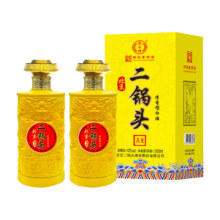 永丰牌 黄龙北京二锅头 42° 清香型 500ml×2瓶